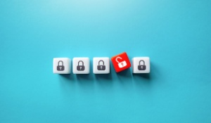 Software Vulnerability Data Breach